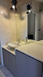 The Hillier (D23), Apartment #496546321